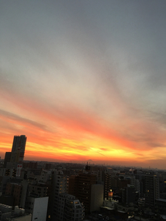 E00E3A81-138E-472F-A984-76370037C175.jpg